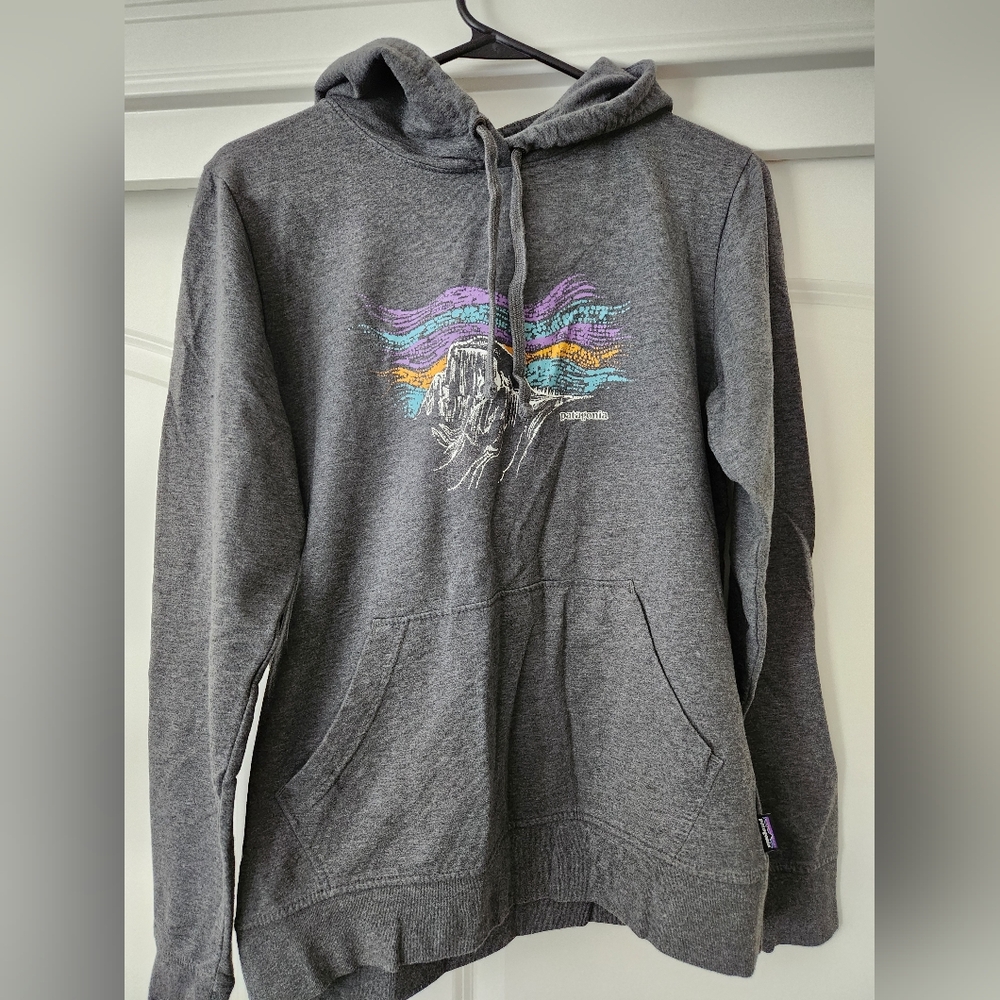 Patagonia Gray Hoodie